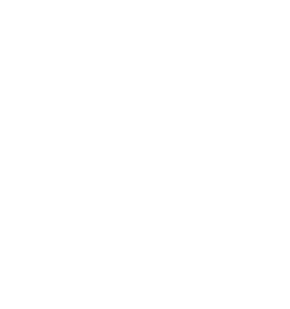 Altenburg over 30 years since 1993